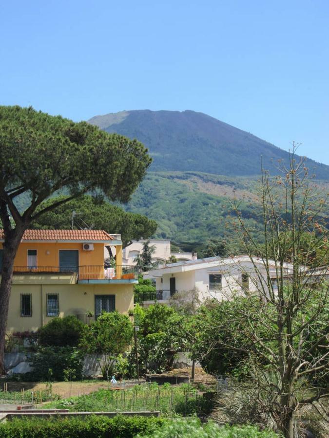 Apartament Casa Del Cappero Torre del Greco Zewnętrze zdjęcie
